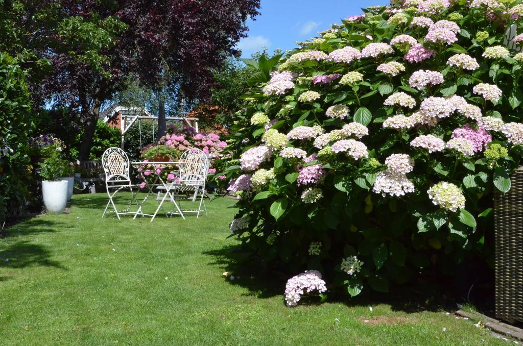 Bed and Breakfast Bloemenhoeve Birdaard Экстерьер фото
